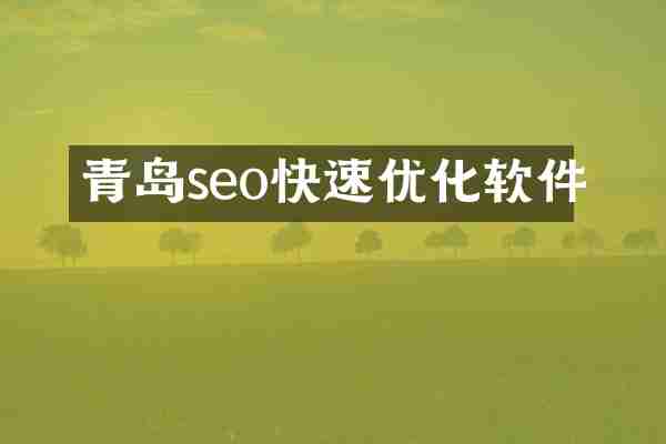 青岛seo快速优化软件