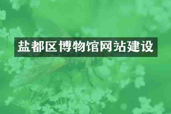 盐都区博物馆网站建设
