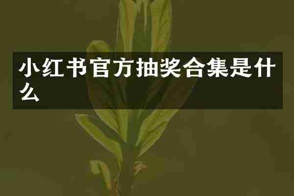 小红书官方抽奖合集是什么