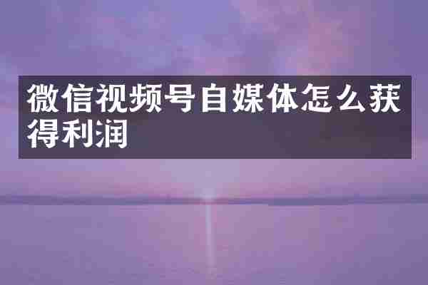 微信视频号自媒体怎么获得利润