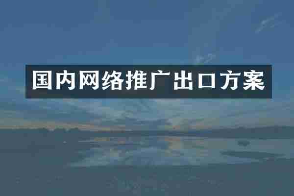 国内网络推广出口方案