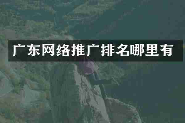 广东网络推广排名哪里有