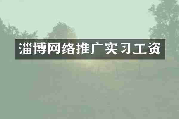 淄博网络推广实习工资