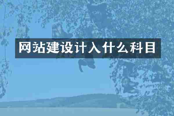网站建设计入什么科目
