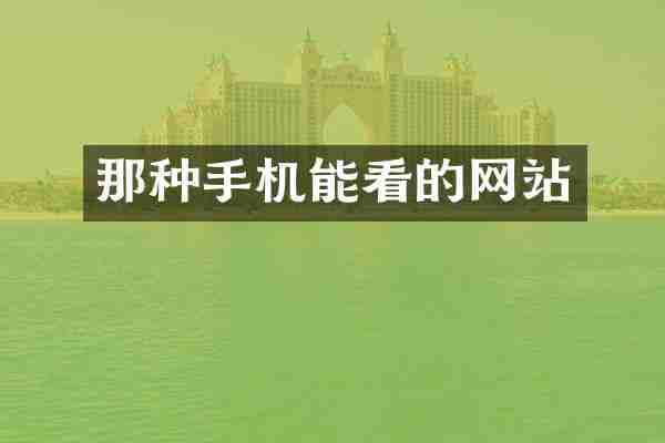 那种手机能看的网站