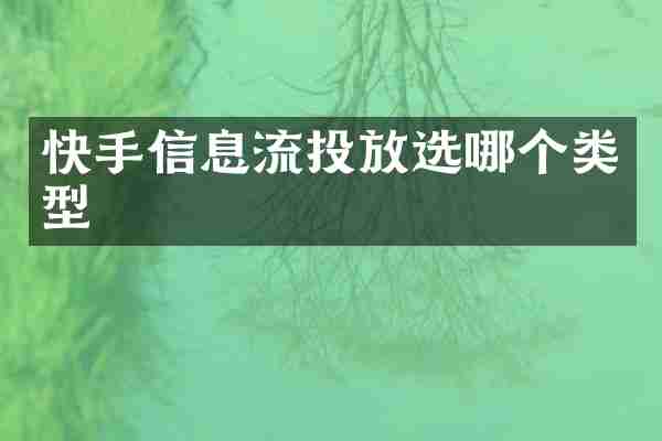 快手信息流投放选哪个类型