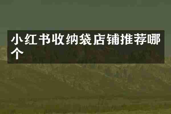 小红书收纳袋店铺推荐哪个