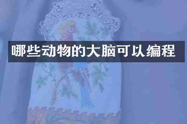 哪些动物的大脑可以编程