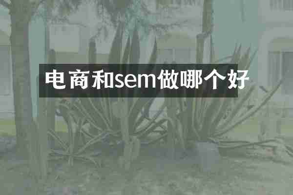 电商和sem做哪个好