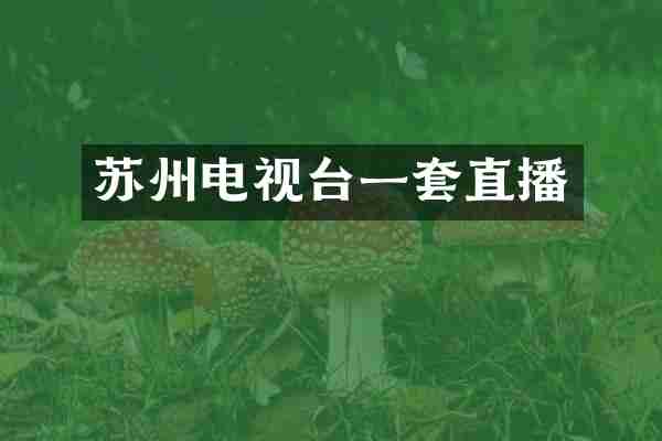 苏州电视台一套直播