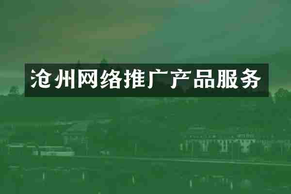 沧州网络推广产品服务