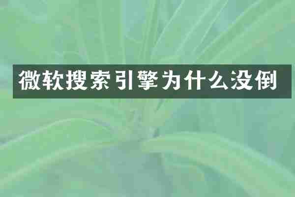 微软搜索引擎为什么没倒