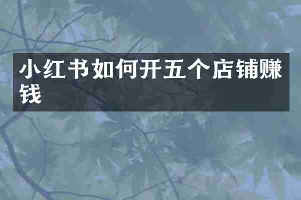 小红书如何开五个店铺赚钱