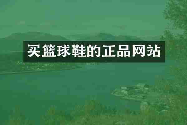 买篮球鞋的正品网站