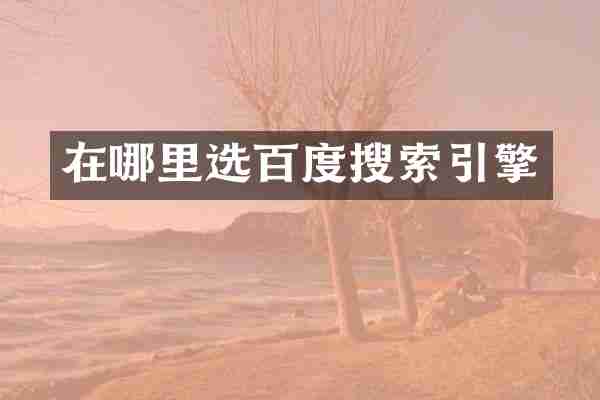 在哪里选百度搜索引擎