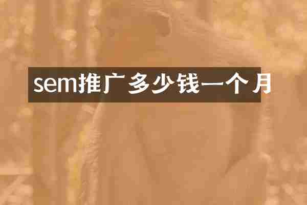 sem推广多少钱一个月
