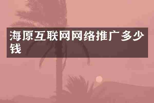 海原互联网网络推广多少钱
