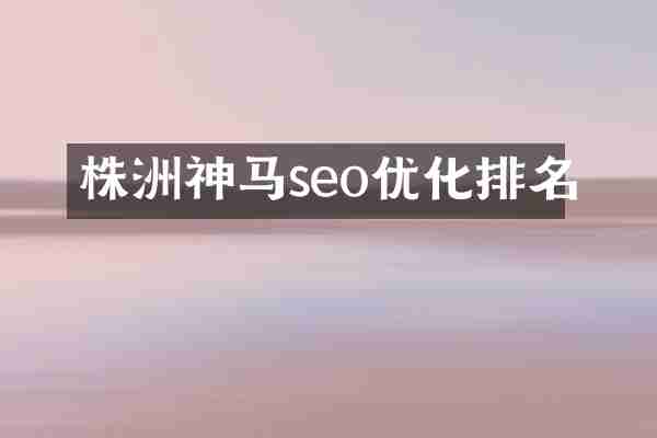 株洲神马seo优化排名