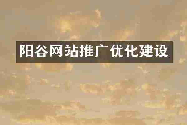 阳谷网站推广优化建设