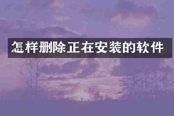 怎样删除正在安装的软件