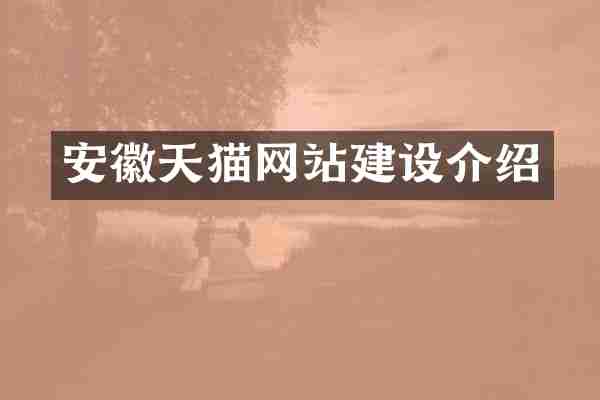 安徽天猫网站建设介绍