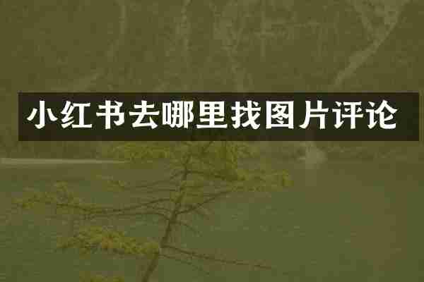 小红书去哪里找图片评论