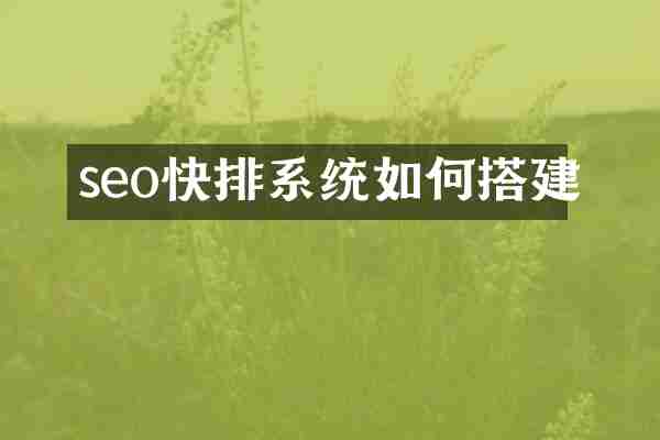 seo快排系统如何搭建