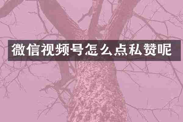 微信视频号怎么点私赞呢