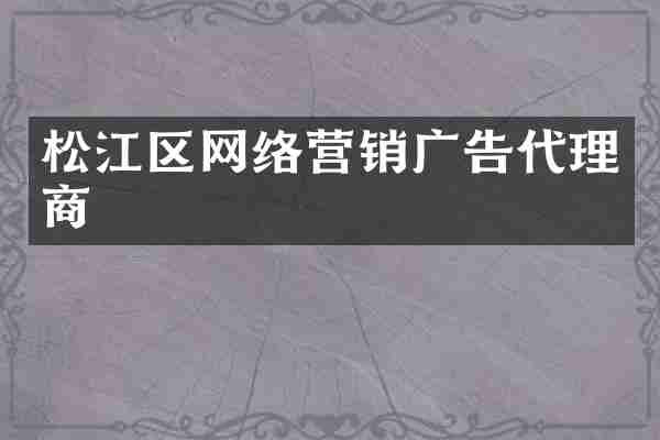 松江区网络营销广告代理商