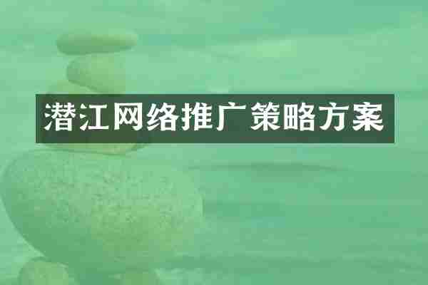 潜江网络推广策略方案