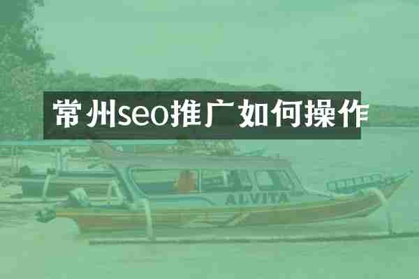 常州seo推广如何操作