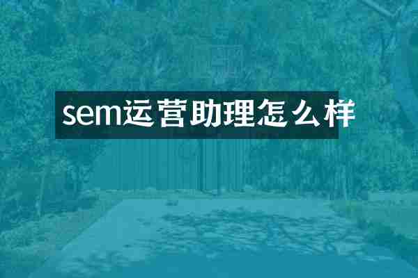 sem运营助理怎么样