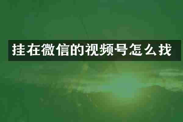挂在微信的视频号怎么找