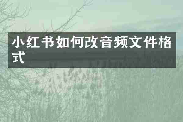 小红书如何改音频文件格式