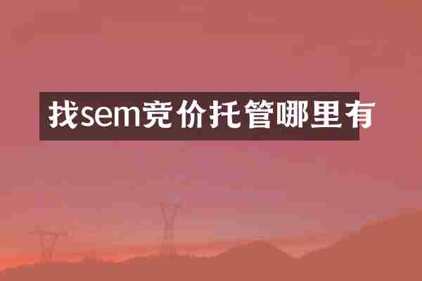 找sem竞价托管哪里有