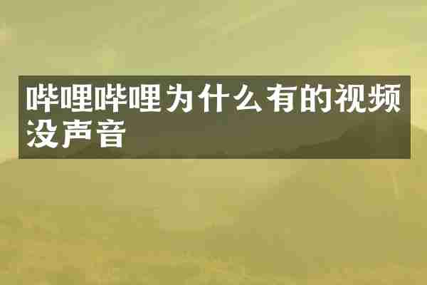 哔哩哔哩为什么有的视频没声音