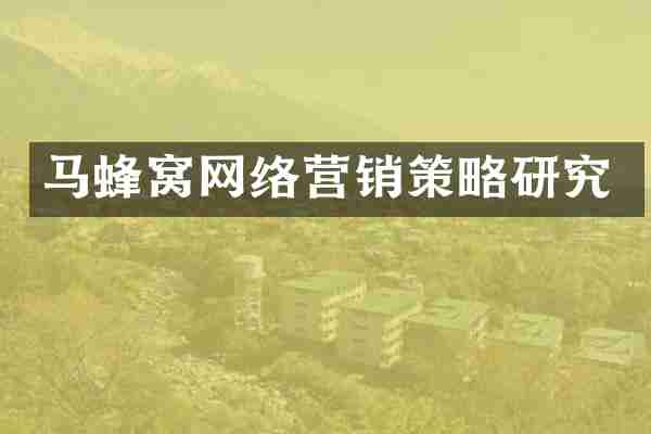 马蜂窝网络营销策略研究