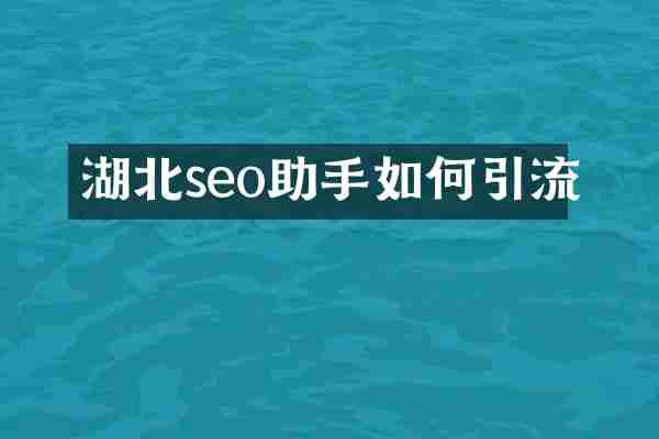 湖北seo助手如何引流