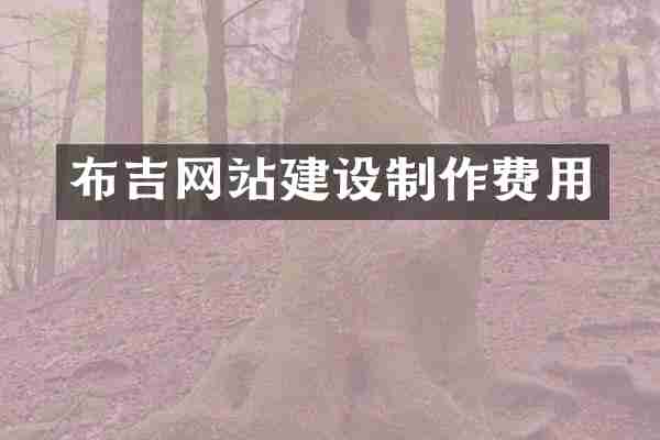 布吉网站建设制作费用
