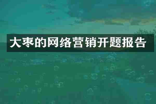 大枣的网络营销开题报告