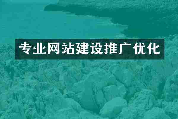 专业网站建设推广优化