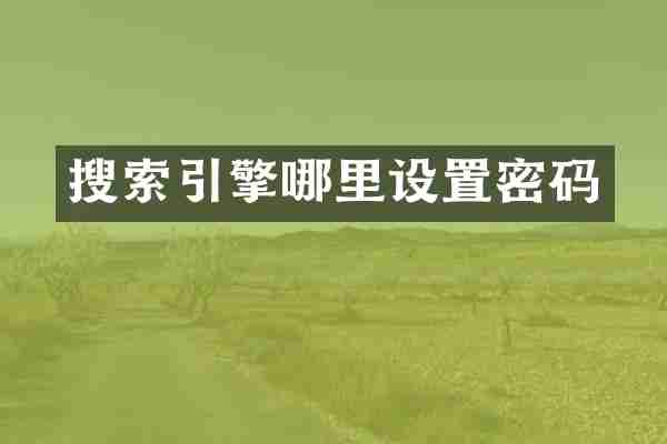 搜索引擎哪里设置密码