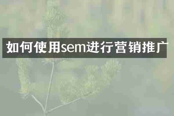 如何使用sem进行营销推广
