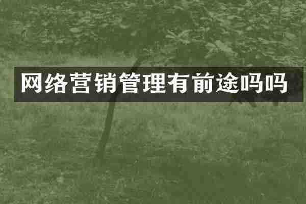 网络营销管理有前途吗吗