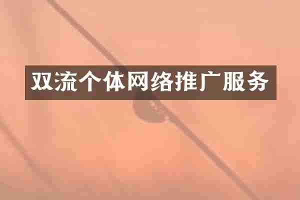 双流个体网络推广服务