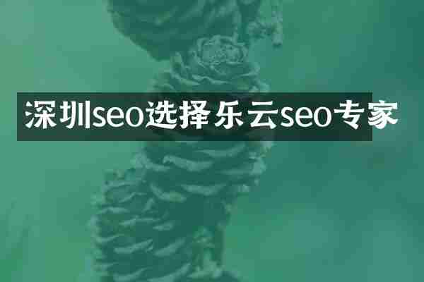 深圳seo选择乐云seo专家