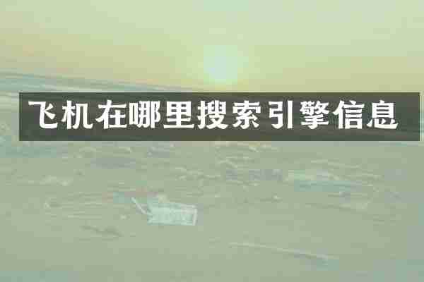 飞机在哪里搜索引擎信息