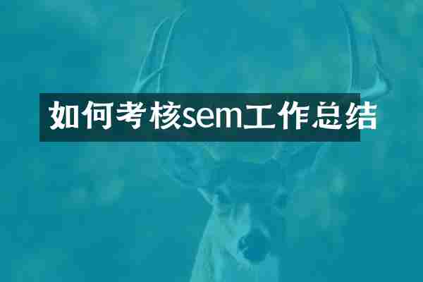 如何考核sem工作总结
