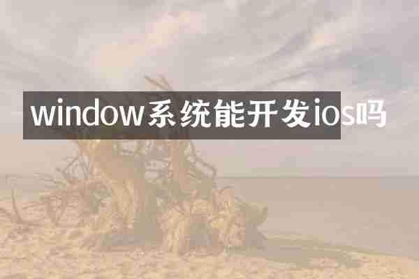 window系统能开发ios吗