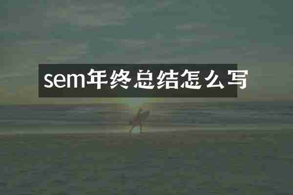 sem年终总结怎么写